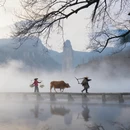 丽水旅游 缩略图 2