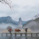 丽水旅游 缩略图 7
