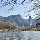 丽水旅游 缩略图 3