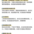 南京旅游 缩略图 7