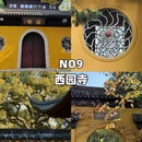 苏州旅游 缩略图 12