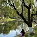 南京旅游 缩略图 4
