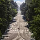 南京旅游 缩略图 9