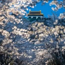 南京旅游 缩略图 6