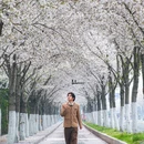 南京旅游 缩略图 5