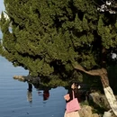 南京旅游 缩略图 3