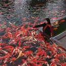 南京旅游 缩略图 4