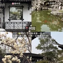 扬州旅游 缩略图 6