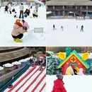 南京旅游 缩略图 13