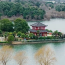 南京旅游 缩略图 15