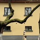 南京旅游 缩略图 7
