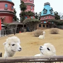 南京旅游 缩略图 7