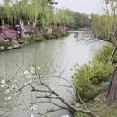 扬州旅游 缩略图 6