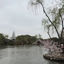 扬州旅游 缩略图 7