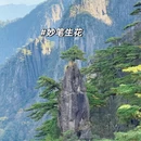 黄山旅游 缩略图 2