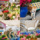 上海旅游 缩略图 4