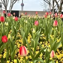 上海旅游 缩略图 2