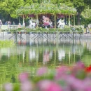 上海旅游 缩略图 8