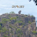 黄山旅游 缩略图 7