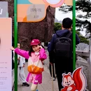 黄山旅游 缩略图 9