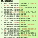 苏州旅游 缩略图 7