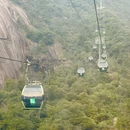 黄山旅游 缩略图 15