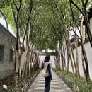 扬州旅游 缩略图 11