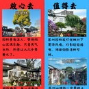 苏州旅游 缩略图 5