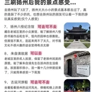 扬州旅游 缩略图 3