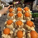 南京旅游 缩略图 9