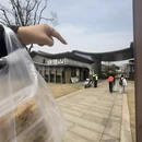 扬州旅游 缩略图 14