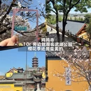 南京旅游 缩略图 18