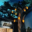 扬州旅游 缩略图 8