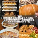 南京旅游 缩略图 8