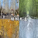 南京旅游 缩略图 3