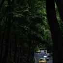 南京旅游 缩略图 7