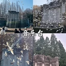 南京旅游 缩略图 4