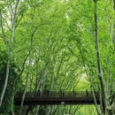 南京旅游 缩略图 6