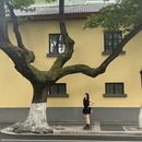 南京旅游 缩略图 1