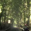 南京旅游 缩略图 3