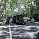 南京旅游 缩略图 5