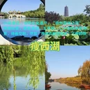 扬州旅游 缩略图 7