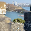 南京旅游 缩略图 5