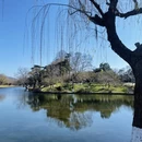 南京旅游 缩略图 10