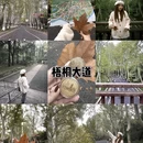 南京旅游 缩略图 4