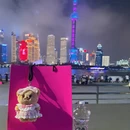 上海旅游 缩略图 4