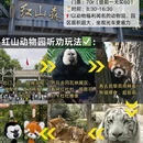 南京旅游 缩略图 4
