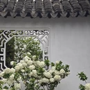 苏州旅游 缩略图 5