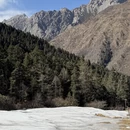 黄山旅游 缩略图 7
