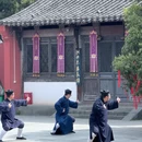 杭州旅游 缩略图 15